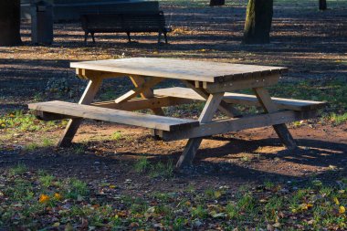 Gün batımında halka açık bir parkta yeşil bir çayırda boş çam ağacından piknik masası.