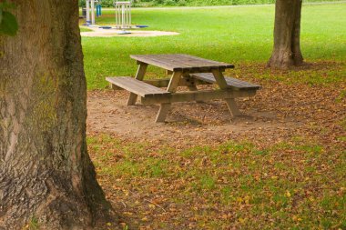 Sonbaharda ağaçların ve yere düşen yaprakların olduğu bir parktaki ahşap piknik masası.