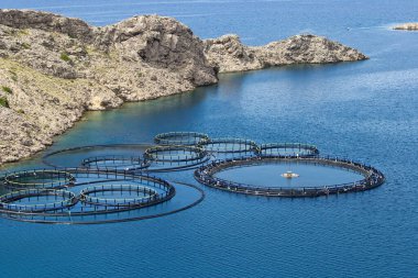 Suyun üzerinde yüzen dairesel balıkçı ağıyla MEDITERRANEAN Denizi 'nde Balık Endüstrisi - Avrupa