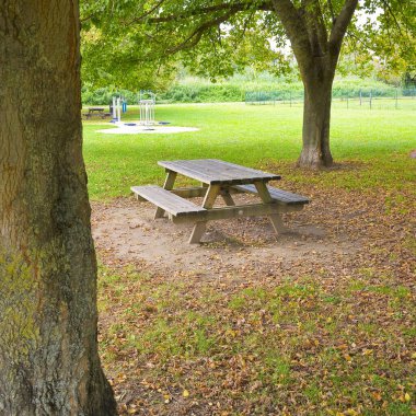 Sonbaharda ağaçların ve yere düşen yaprakların olduğu bir parktaki ahşap piknik masası.
