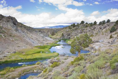 Sierra Nevada desert with hot creek on a volcanic basin - californian Sierra Nevada geothermal landscape - California - USA clipart