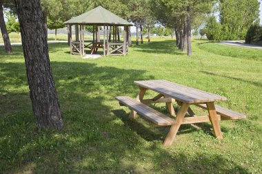 Kamu parkında banklı ahşap piknik masası yapraklı ağaçların altında gölgeli noktalar sunuyor..