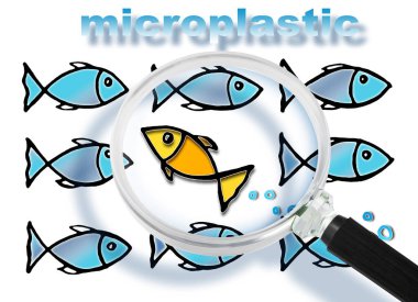 DANGEROUS MICROPLASTICS CONTAMINATION IN FRESHWATER FISH - Food Safety and Quality Control in Fishing industry concept with magnifying glass clipart