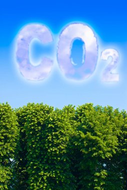 More trees reduce the amount of CO2 - concept with CO2 text against a sky and canopy of trees