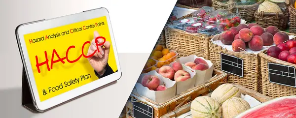 FRESH FRUIT VE VEGETABLES HACCP - Tehlikeli Analiz ve Kritik Kontrol Noktaları - Meyve ve ve sebze endüstrisinde Gıda Güvenliği ve Kalite Kontrolü