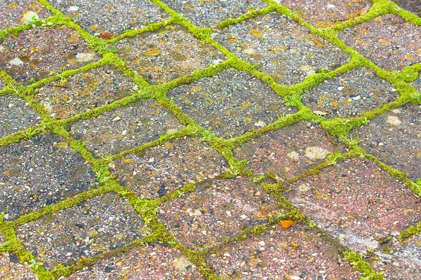 Çimenlerle dolu bir kumsala yerleştirilmiş döşeme döşemesi - yağmur suyuna dayanıklı döşeme tipi - açık alanlar veya park alanları için kullanılan döşeme