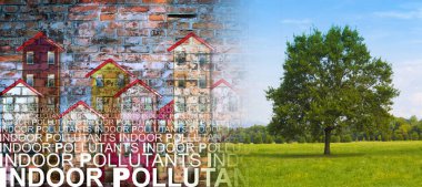 İçerideki hava kirleticileri binanın arka planında - yeşil bir alanda yalnız bir ağaçla görüntüyü birleştir.