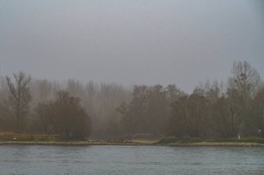 Almanya 'da Neuburg yakınlarında Rhine. Yüksek kalite fotoğraf