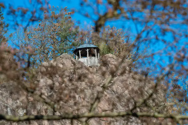 Obertsrot Baden-Wuerttemberg yakınlarındaki ormanda. Yüksek kalite fotoğraf