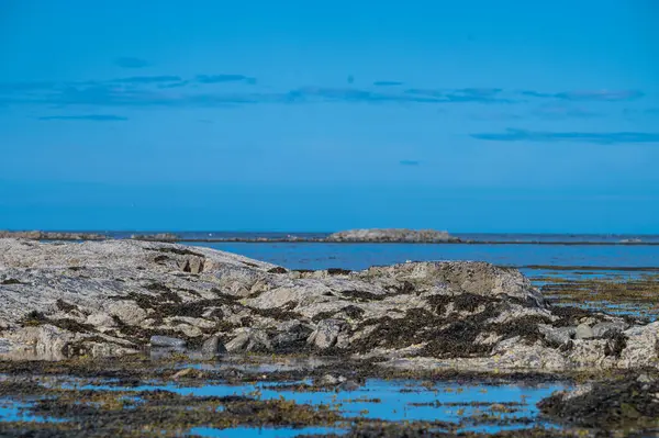 Rosehearty, İskoçya, Aberdeenshire 'daki kayalıklar. Yüksek kalite fotoğraf