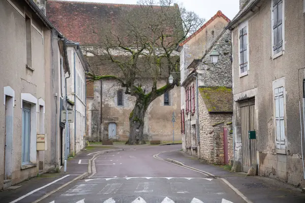 Bu yaşlı ağaç şehirde ne hikayeler anlatabilir?