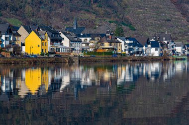 Almanya 'da Moselle' de Alken yakınlarında. Yüksek kalite fotoğraf