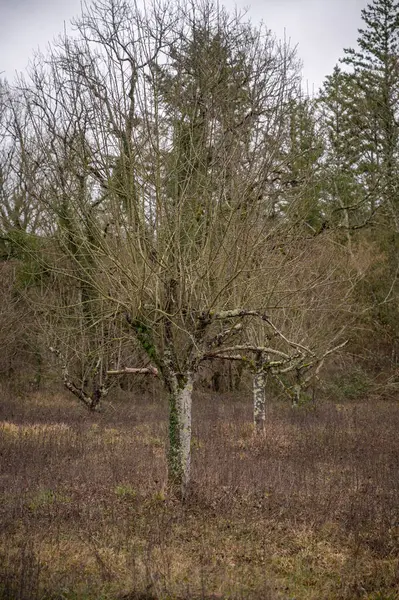 Doğadaki çevreyi keşfetmeye de değer.