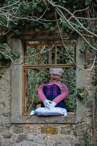 Almanya 'da Moselle' de Alken yakınlarında. Yüksek kalite fotoğraf