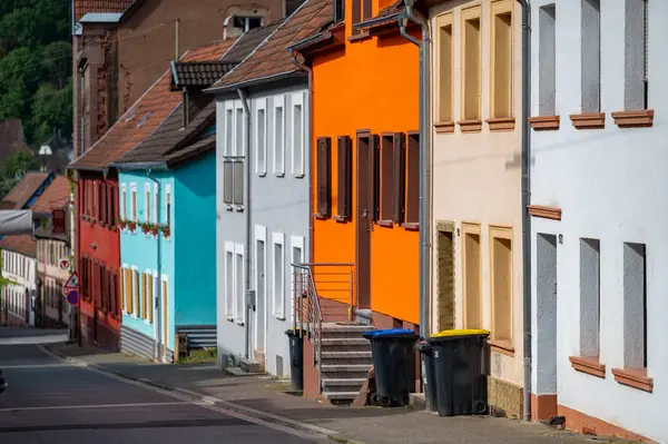 Ottweiler Wingertsweiher küçük kasaba portresi. Yüksek kalite fotoğraf