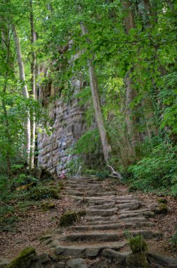 Berdorf yakınlarında vahşi romantik Muellerthal. Yüksek kalite fotoğraf