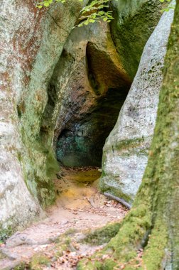 Berdorf yakınlarında vahşi romantik Muellerthal. Yüksek kalite fotoğraf