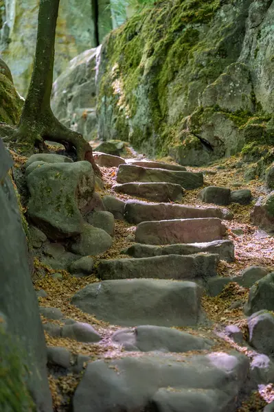 Ernzen 'deki Dinopark' taki Şeytanlar Geçidi. Yüksek kalite fotoğraf