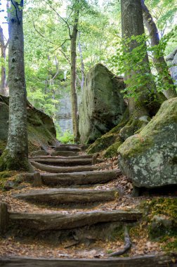 Berdorf yakınlarında vahşi romantik Mullerthal. Yüksek kalite fotoğraf