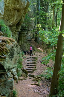 Berdorf yakınlarında vahşi romantik Mullerthal. Yüksek kalite fotoğraf
