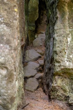 Ernzen 'deki Dinopark' taki Şeytanlar Geçidi. Yüksek kalite fotoğraf