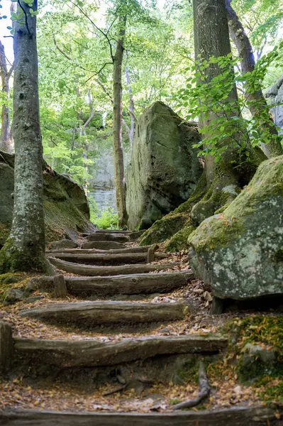 Berdorf yakınlarında vahşi romantik Mullerthal. Yüksek kalite fotoğraf