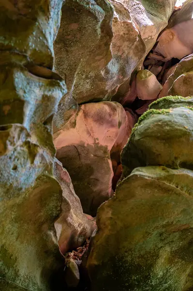 Ernzen 'deki Dinopark' taki Şeytanlar Geçidi. Yüksek kalite fotoğraf
