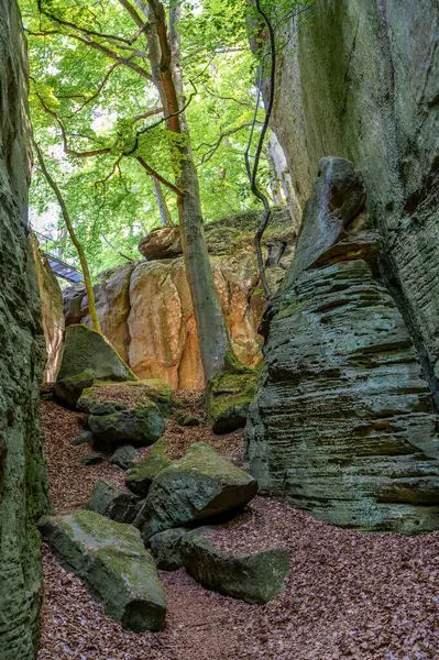 Berdorf yakınlarında vahşi romantik Muellerthal. Yüksek kalite fotoğraf