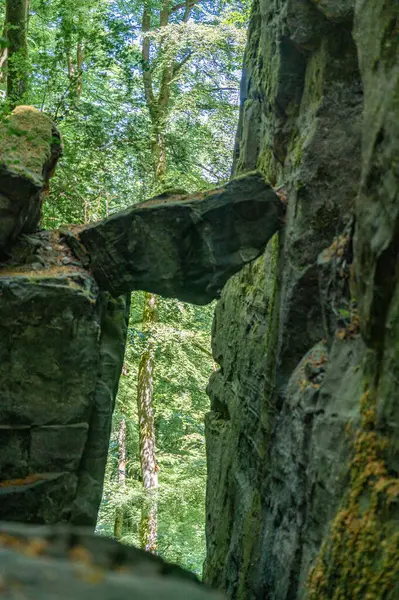 Ernzen 'deki Dinopark' taki Şeytanlar Geçidi. Yüksek kalite fotoğraf