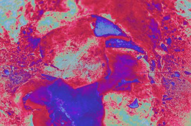 Yere düşen yaprakların dokusu kırmızı renkte. Yüksek kalite fotoğraf