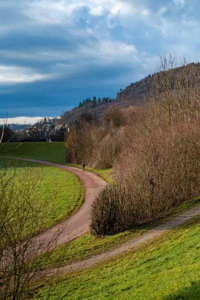 Kara Orman 'da Lahr yakınlarında toprak yol. Yüksek kalite fotoğraf