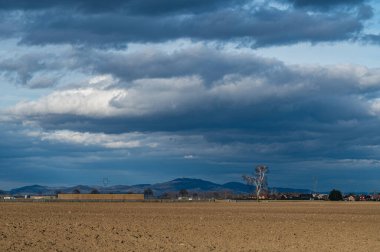Fransa 'nın Fessenheim bölgesinde. Yüksek kalite fotoğraf