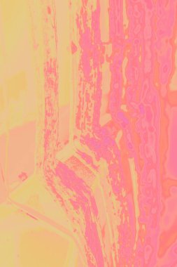 Ormandaki ağaç kabuğunun dokusu. Yüksek kalite fotoğraf