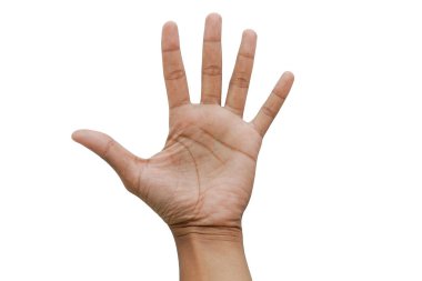 Beyaz arka planda beş parmak görünüyor. Avuç içini aç. El yapımı işareti