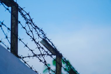 Mavi gökyüzüne karşı dikenli teller genellikle binalar ve ulusal sınırlar için güvenlik çiti olarak kullanılır.