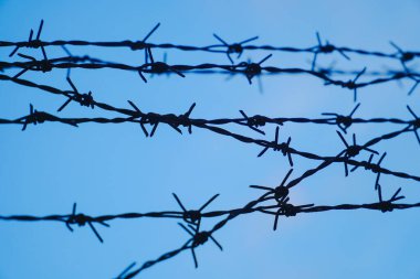 Mavi gökyüzüne karşı dikenli teller genellikle binalar ve ulusal sınırlar için güvenlik çiti olarak kullanılır.