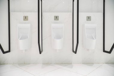 Umumi tuvaletin modern iç mekanı, lüks otelin bir parçası. tuvalet iç konsepti