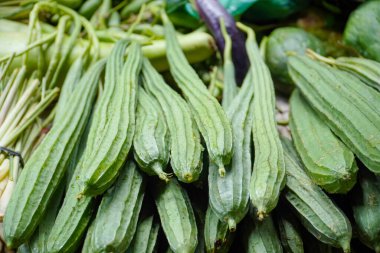 Angled Loofah Sünger Kabağı Yığını ya da Açı Kabağı Geleneksel Çiftçi Pazarı 'nda Görünüyor. Sırt kabağı sebzeleri