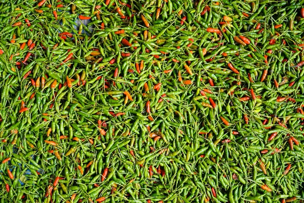 Photo of a pile of green and red cayenne pepper at the supermarket. a traditional market in Indonesia. selective focus. Illustration of rising prices of red and green chilies.