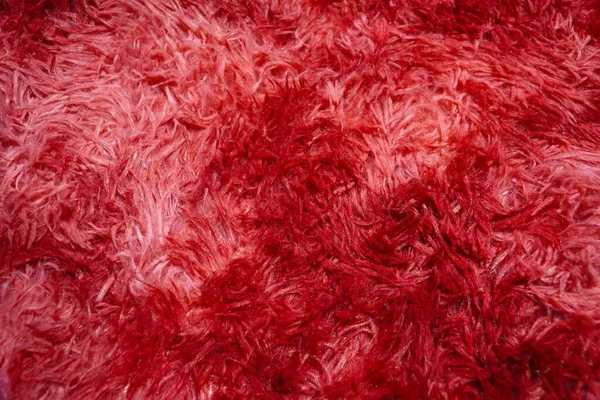 Fluffy Red Carpet. Red Wool background texture. Red Textured carpet Background