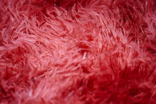 Een Pluizig Rood Tapijt Rode Wol Achtergrond Textuur Rood Geweven Stockfoto