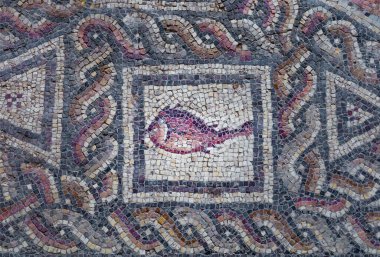 Lod Mozaik 'in önemli bir parçası olan Lod Town, İsrail' deki ünlü Roma mozaik katında bulunan balık Shelby White ve Leon Levy Lod Mozaik Merkezi 'nde sergilendi. Mozaikte kara hayvanları, balıklar ve iki Roma gemisi tasvir ediliyor.