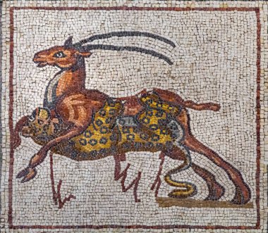 İsrail 'in Lod kasabasındaki ünlü Roma mozaik zemini Lod Mozaik Parçası' ndaki hayvanlar Shelby White ve Leon Levy Lod Mozaik Merkezi 'nde sergilendi. Mozaikte kara hayvanları, balıklar ve iki Roma gemisi tasvir ediliyor.