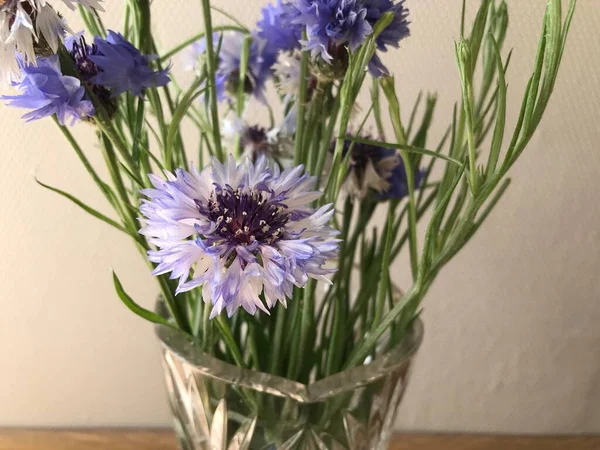 Bouquet Fleurs Dans Vase — Photo