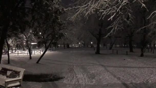 Снігопад Парку Вночі — стокове відео