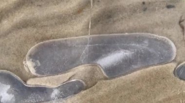 Sandy bottom of the lake under transparent ice with air bubbles 