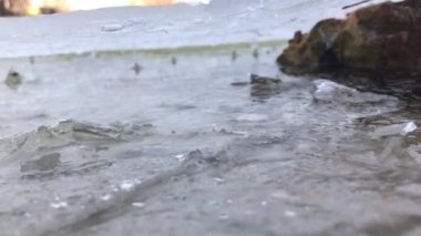 Sandy bottom of the lake under transparent ice with air bubbles 