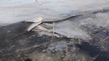 Bahar zamanı Ukrayna 'da Dnipro nehrinde eriyen buz