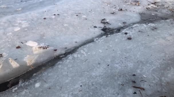 春天乌克兰第聂伯河上融化的冰 — 图库视频影像