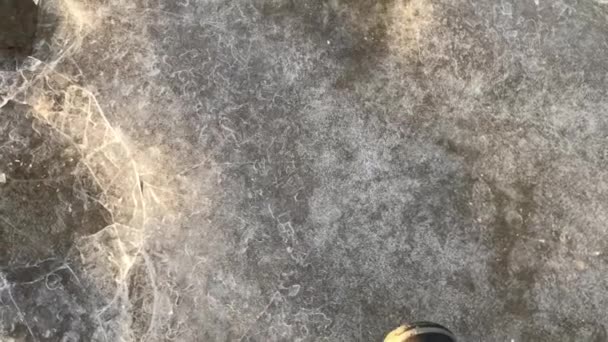 Περπατώντας Λεπτό Πάγο Στο Φως Ηλιοβασιλέματος — Αρχείο Βίντεο